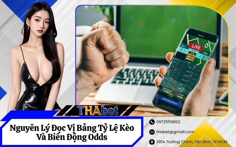 Nguyên Lý Đọc Vị Bảng Tỷ Lệ Kèo Và Biến Động Odds